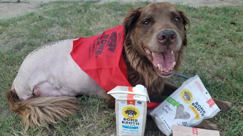 Brutus Bone Broth needs your help to protect America’s retired K9 Heroes