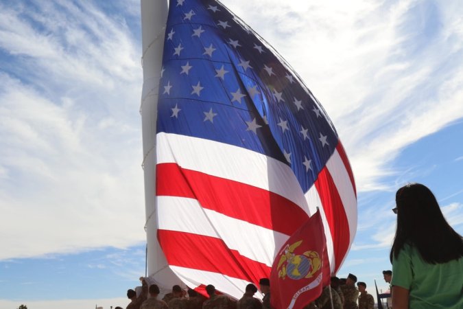 veterans day american flag