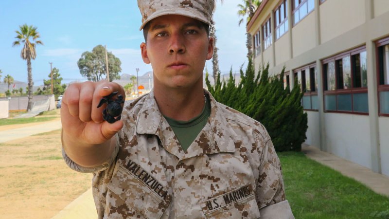 This is what the ‘Eagle, Globe and Anchor’ means to Marines