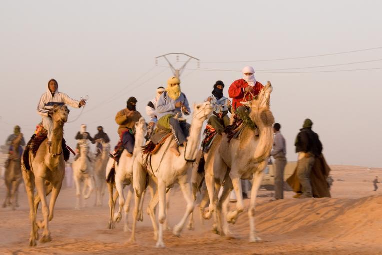 camel race