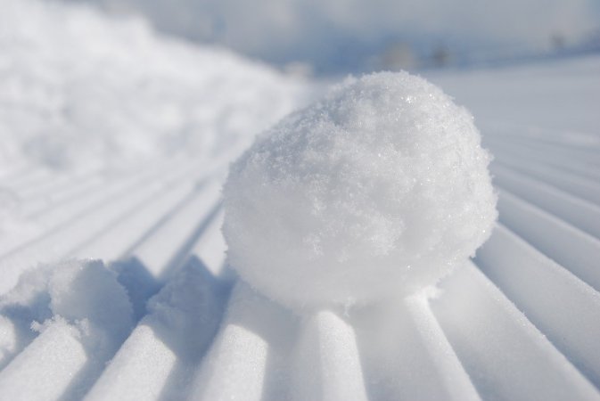 snowball fight