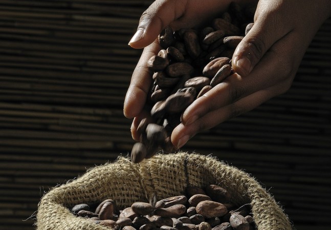 14 things you could buy with cacao seeds during colonial times