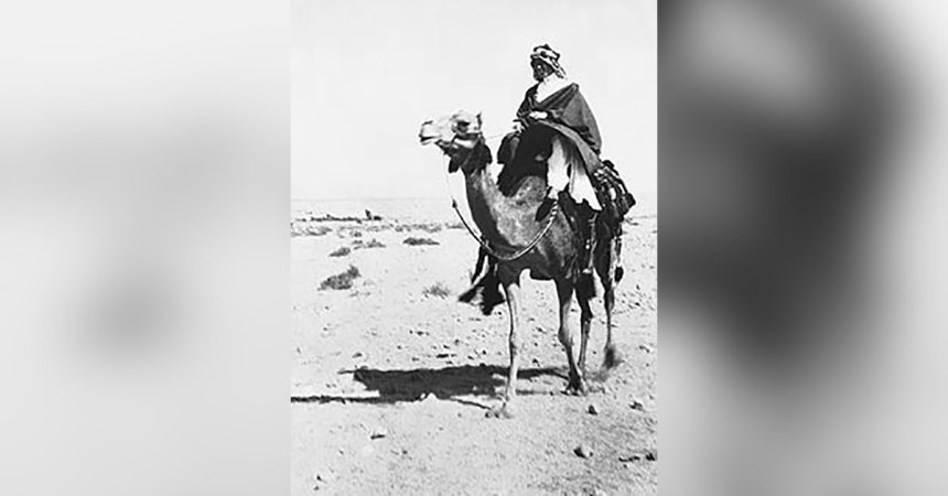 lawrence of arabia