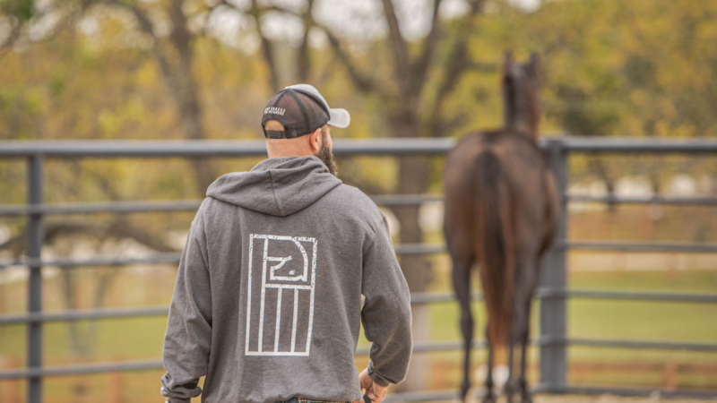 Horses clear your mind and heal your heart. Exclusive interview with ‘War Horses for Veterans’ Co-founder Patrick Benson