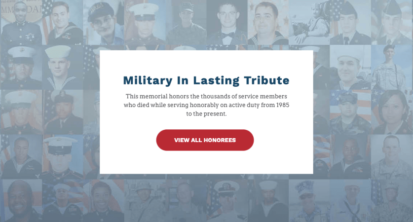 This is the Department of Defense’s online memorial for the fallen