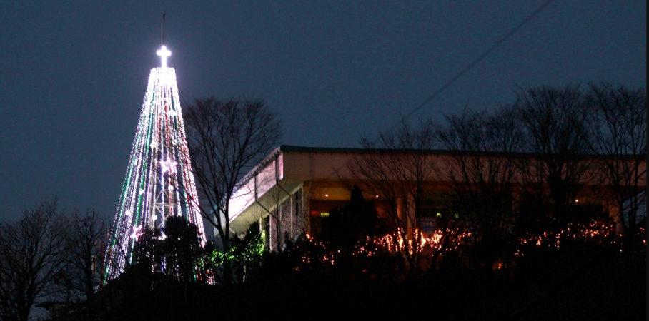 south korea christmas tree