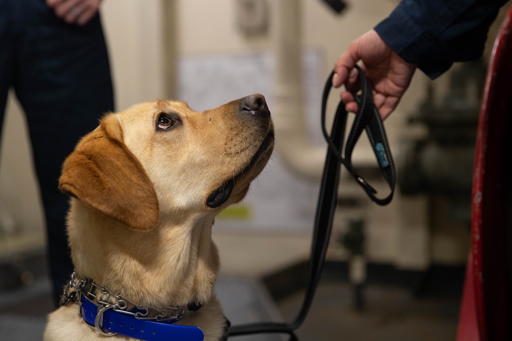 sage service dog USS Gerald R. Ford