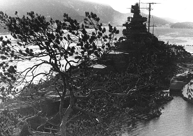 Tirpitz camouflaged