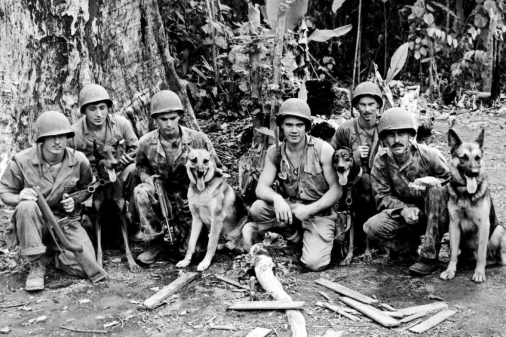 The National War Dog Cemetery is in the Pacific