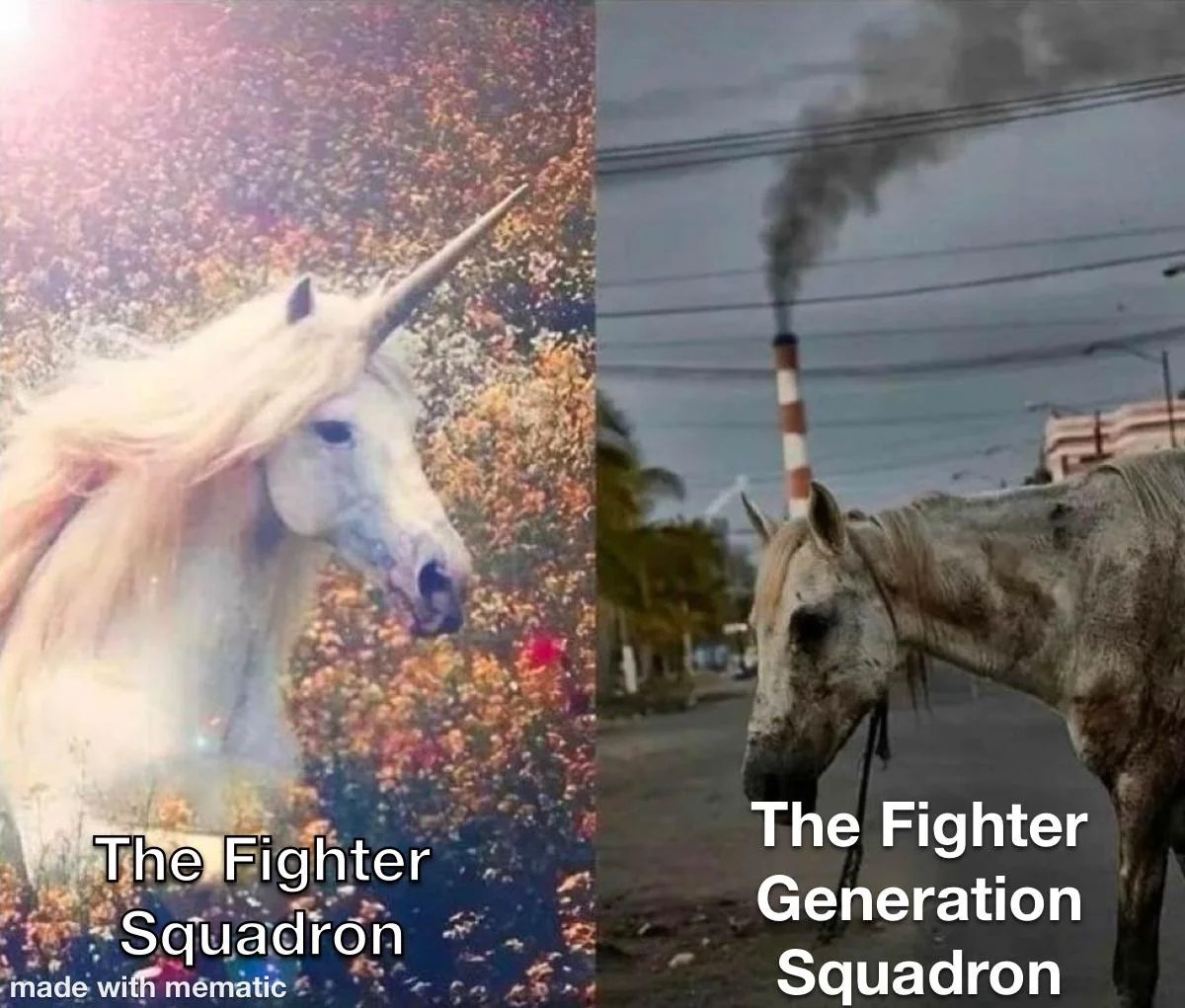 fighter squadron