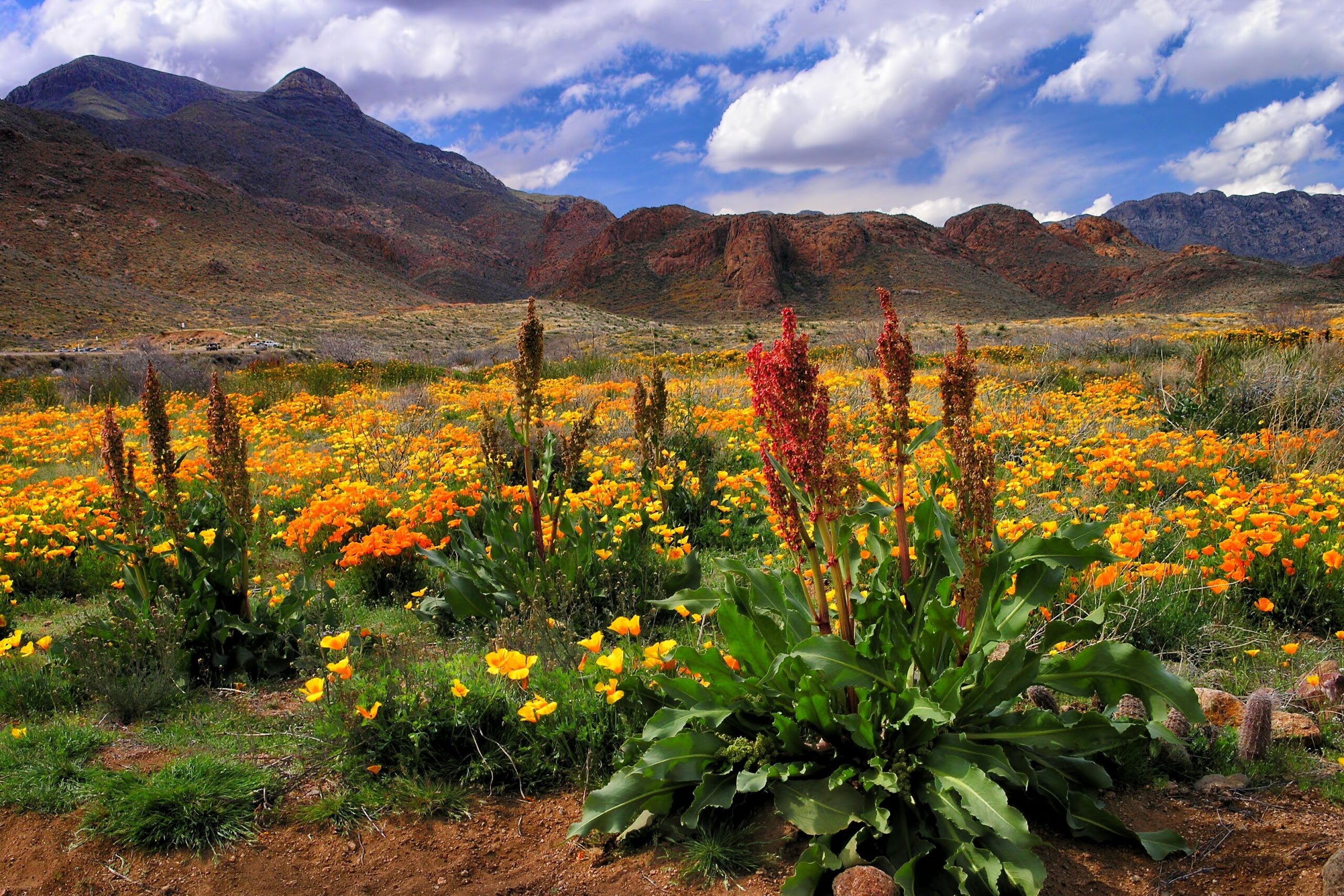 castner range