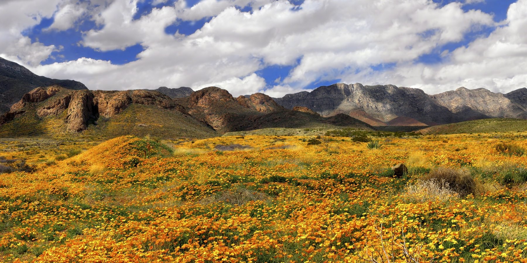 castner range national monuments