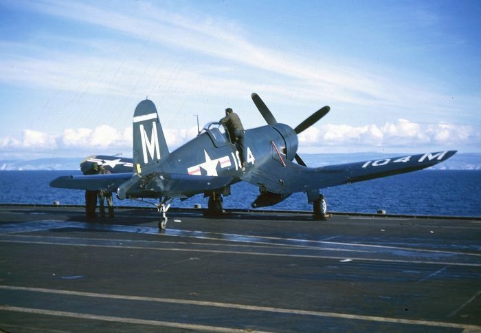 f4u pirate-themed Navy planes