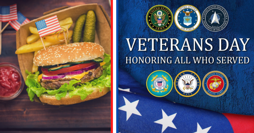 Cheeseburger and veterans day with military logos.