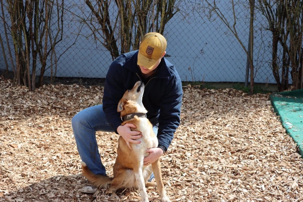 1st Lt. Thomas Snowden interacts with one of the inhabitants of the Bad Windsheim Hundhaus on Saturday. Soldiers and players on the Black N' Blue rugby team volunteered their time to assist in the spreading of new mulch for the shelter grounds. (U.S. Army photo by 1st Lt. Jon Hankey)