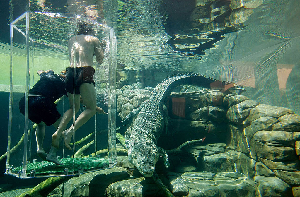 DARWIN, AUSTRALIA - AUGUST 31: Nathan Bracken of Australia and fielding coach Mike Young stand in the "Cage of Death" in the crocodile enclosure at Crocosaurus Cove on August 31, 2008 in Darwin, Australia. (Photo by Robert Cianflone/Getty Images)