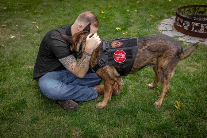 Retired military working dog reunites with his handler after more than two years apart