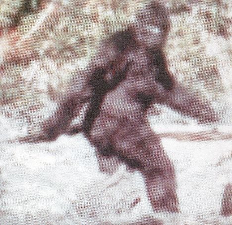 bigfoot