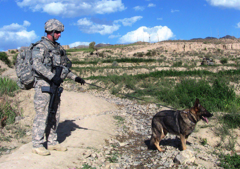 Soldiers with a dog