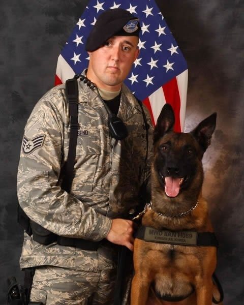 air force military working dog