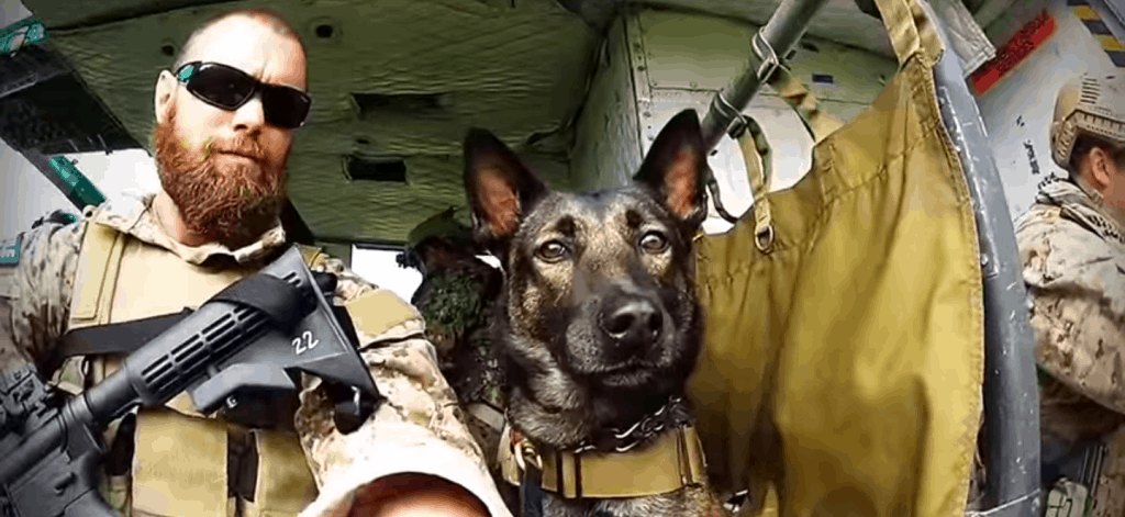 Here’s what a military ‘war dog’ sees while working with US Navy SEALs