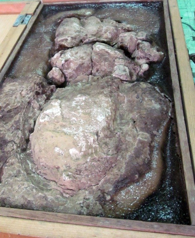 bigfoot footprint