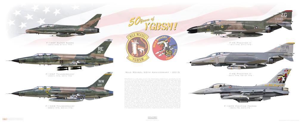 Wild Weasel YGBSM: "You Gotta Be Sh-tting Me"