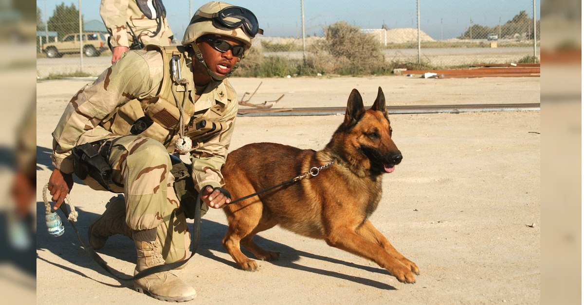 SEAL Team Six alum on mission to find Bergdahl wants justice for lost dog