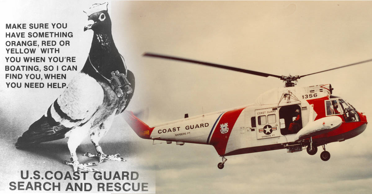 That time the Coast Guard tried using pigeons for sea rescues