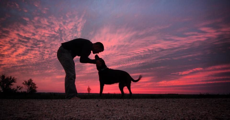 This Marine vet took his sick dog on a life-changing road trip