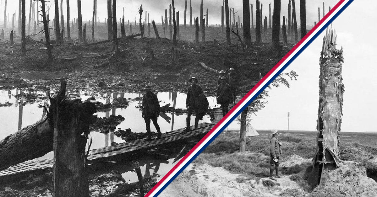 The British and Germans built these deadly hollowed-out trees in WWI