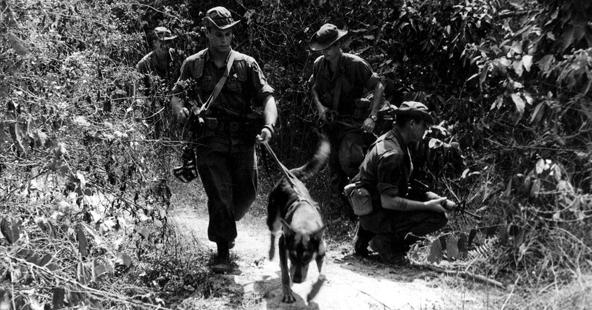 These Combat Tracker teams were America’s secret weapon in Vietnam