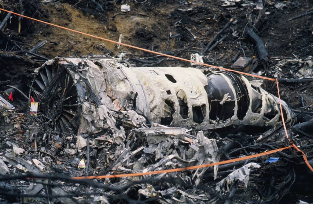 seagulls killed this nuclear bomber