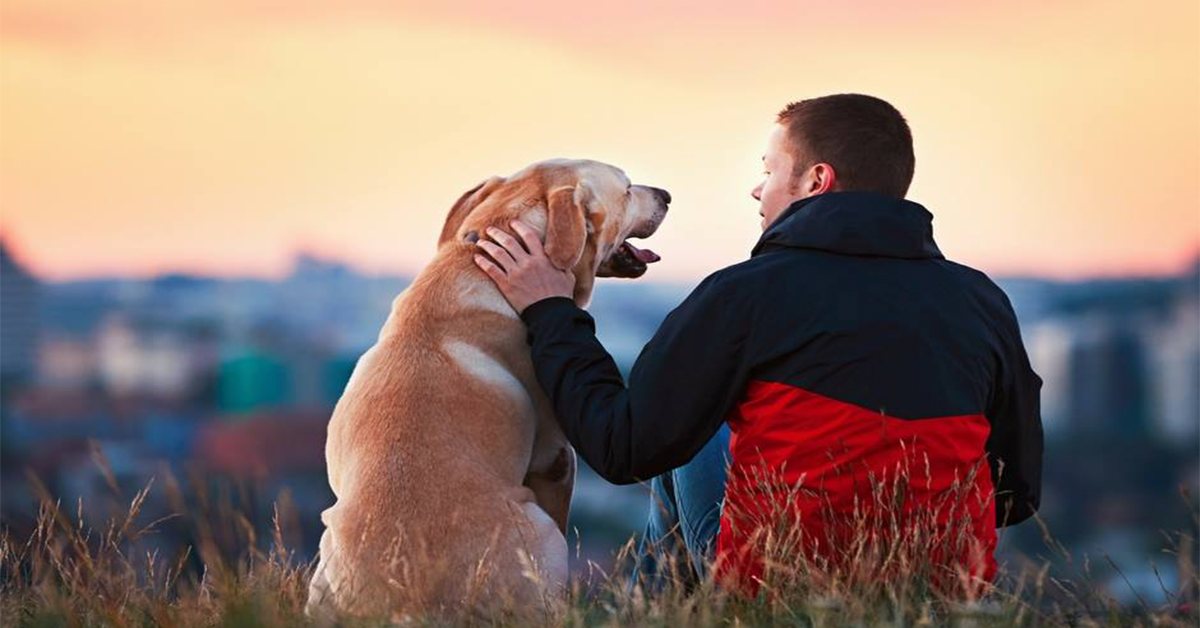 This organization matches homeless pets with vets who need them