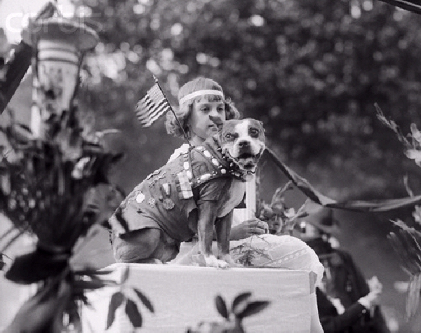 stubby world war i dog