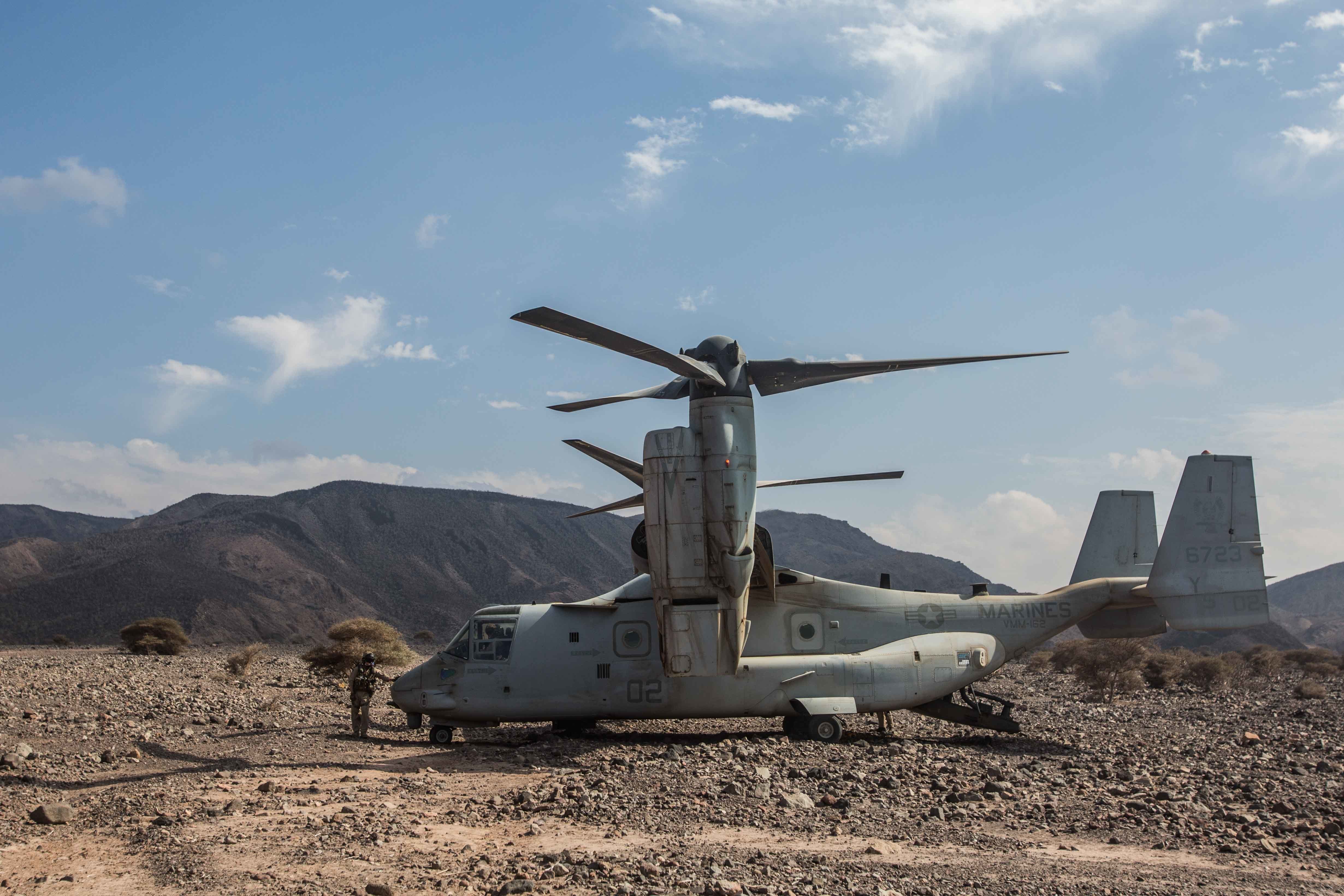 military exercise in Djibouti