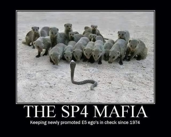 SP4/E4 Mafia