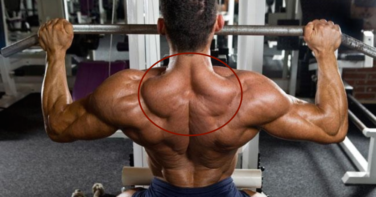 4 killer exercises that will get those traps ripped