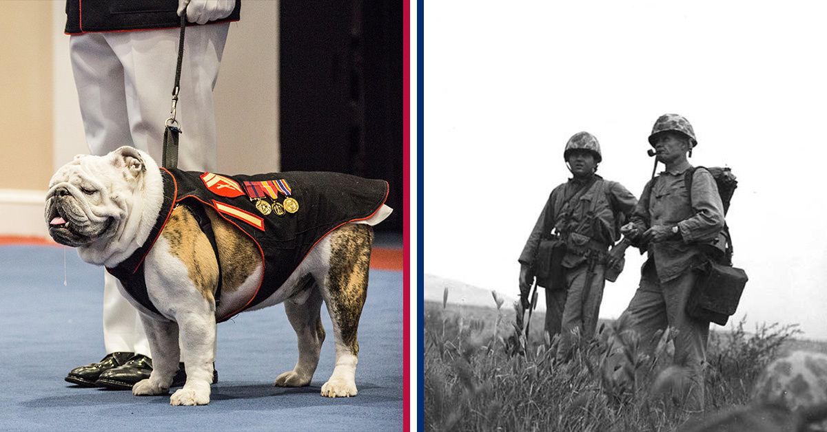 5 differences between Chesty XIV and the ‘Chesty’ Puller