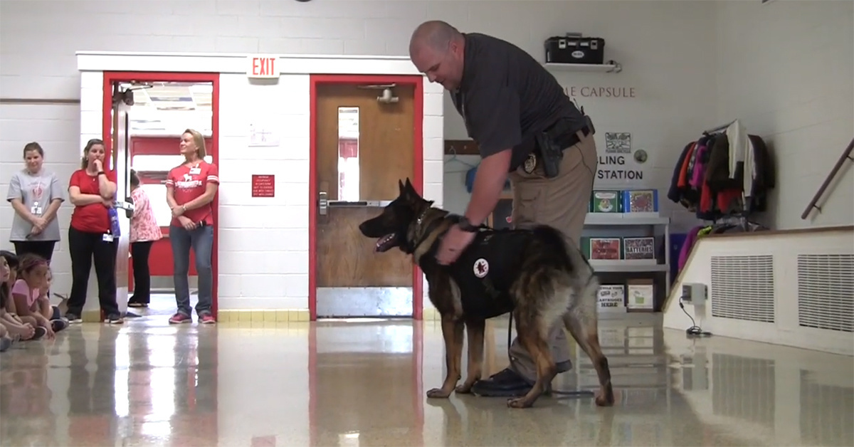 This heroic Navy SEAL now works to save working dogs