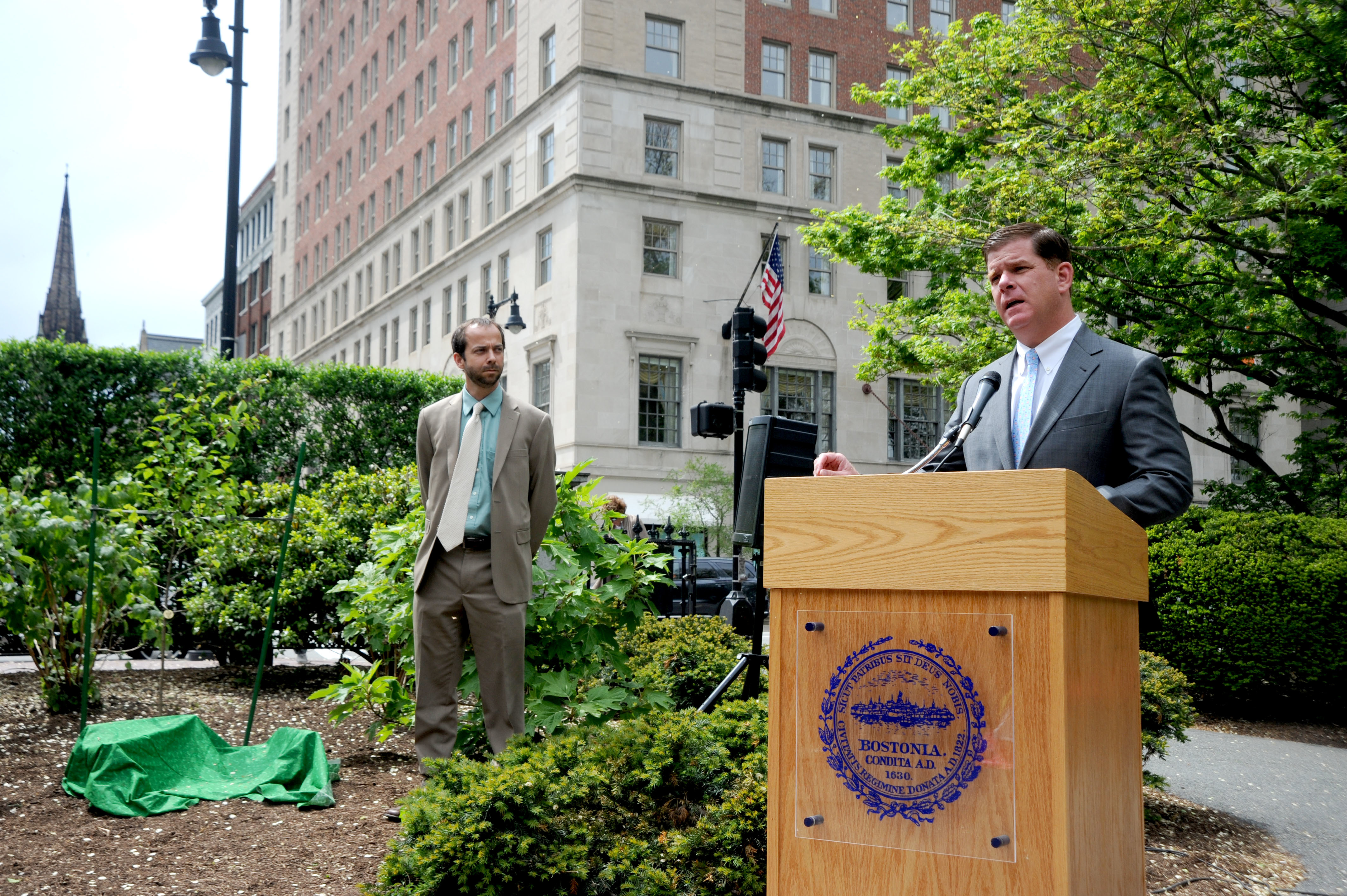 survivor tree ceremony