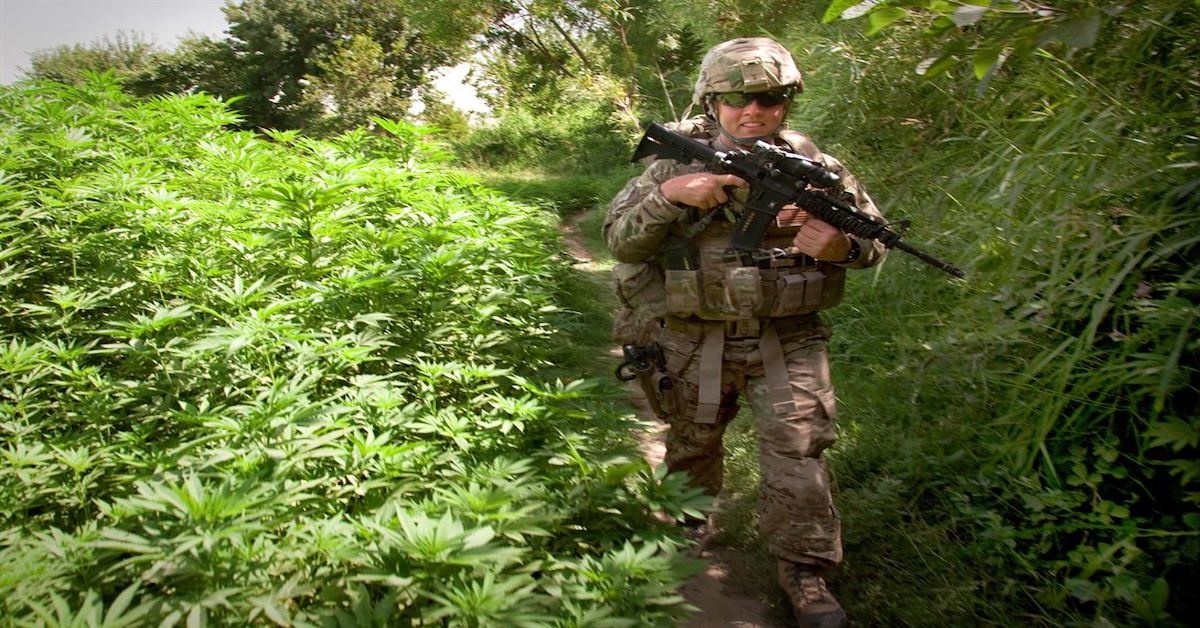 Veteran organizations pressuring congress on medical marijuana