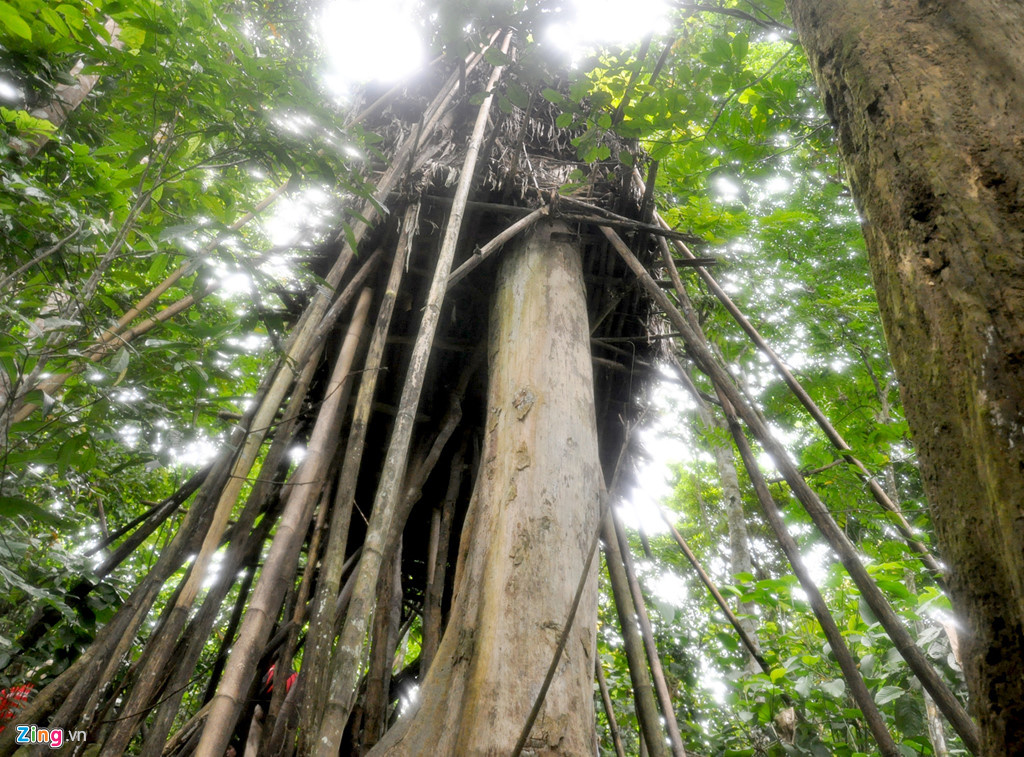 North Vietnamese soldier hut