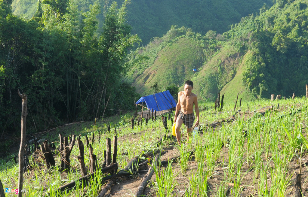 North Vietnamese soldier home