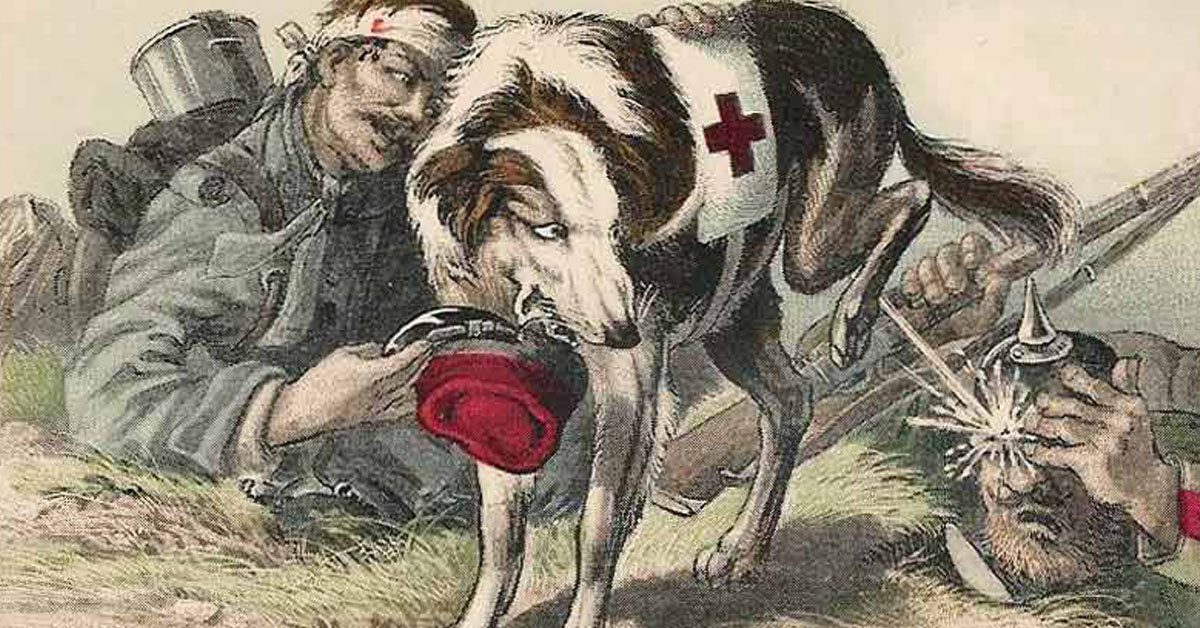 These were the mercy dogs of World War I