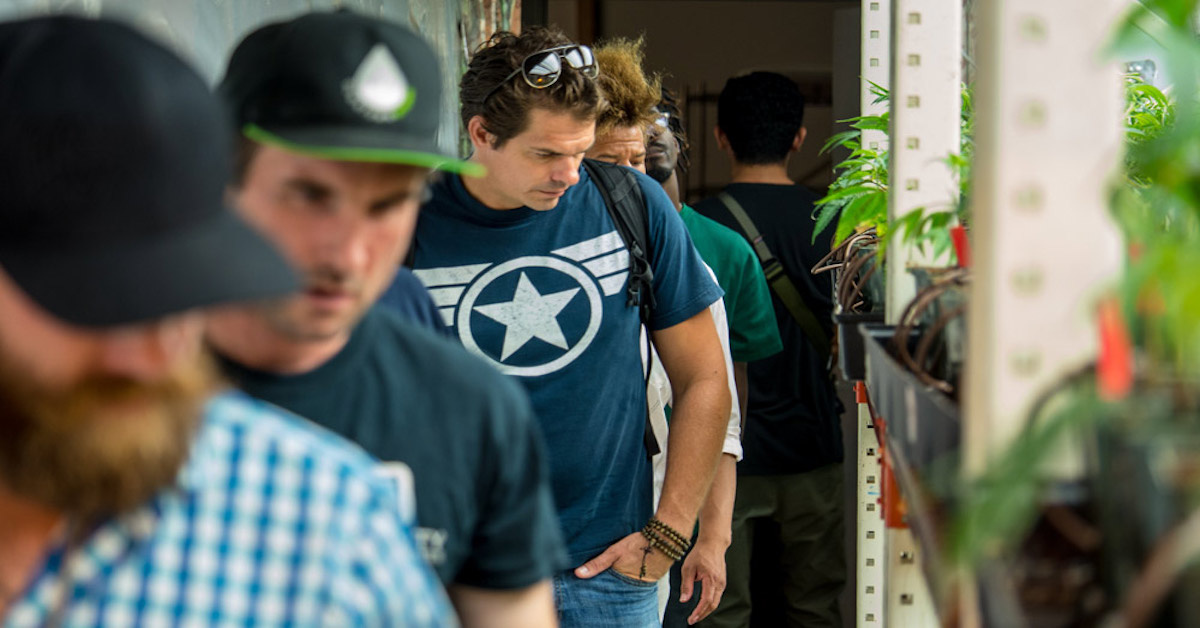Military vets are forging budding careers in the cannabis industry